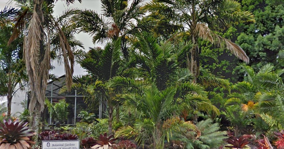 Botanical Garden at University of Hawaii - Hilo, United States